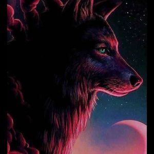 Meet your Posher, Luis